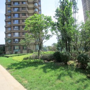 沈阳雅居乐花园